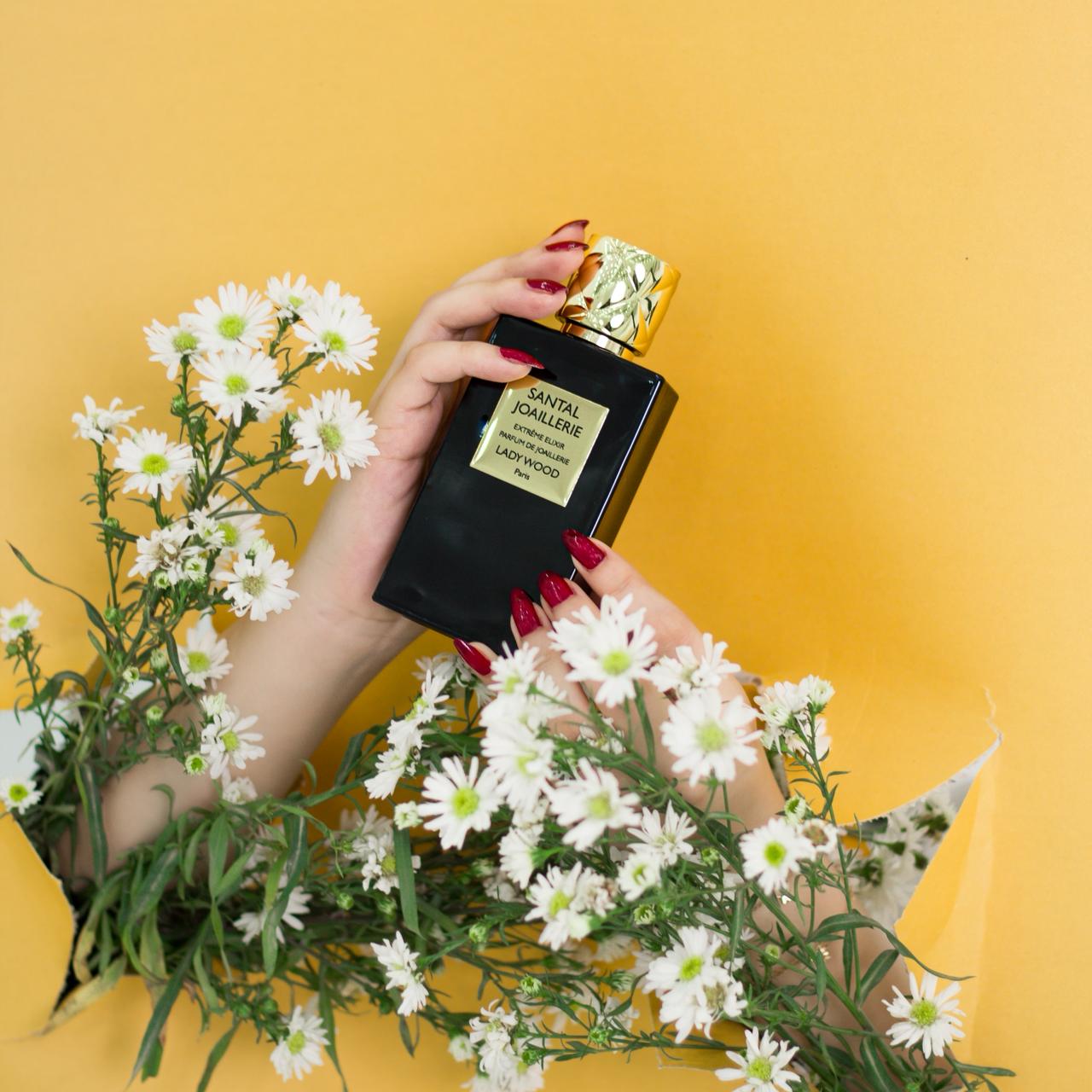 تصوير استديوا